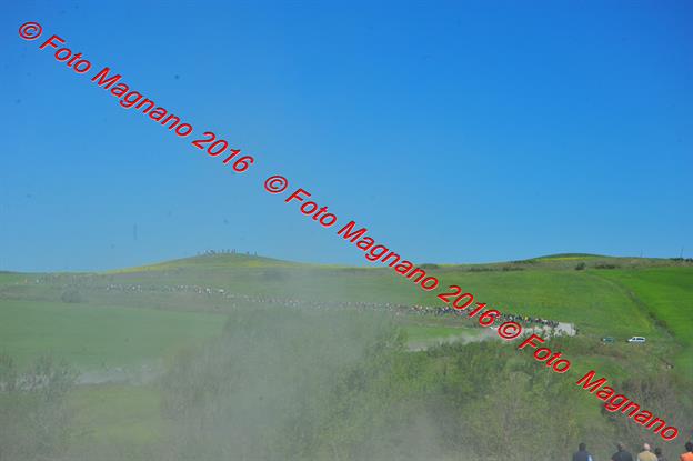 DSC_9789.JPG